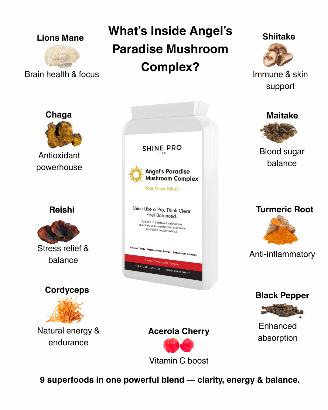 Functional Mushroom Blend – Lion’s Mane, Reishi, Cordyceps, Chaga, Acerola Vitamin C, Turmeric