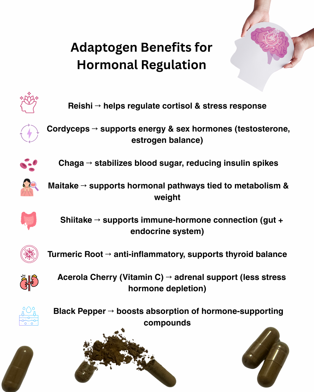 Adaptogen Benefits of Mushroom Complex – Stress Relief, Hormonal Balance, Energy and Immunity
